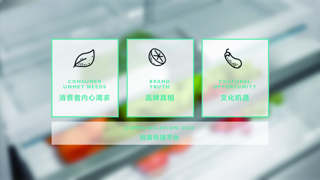 西门子冰箱产品上市数字营销方案_第7页