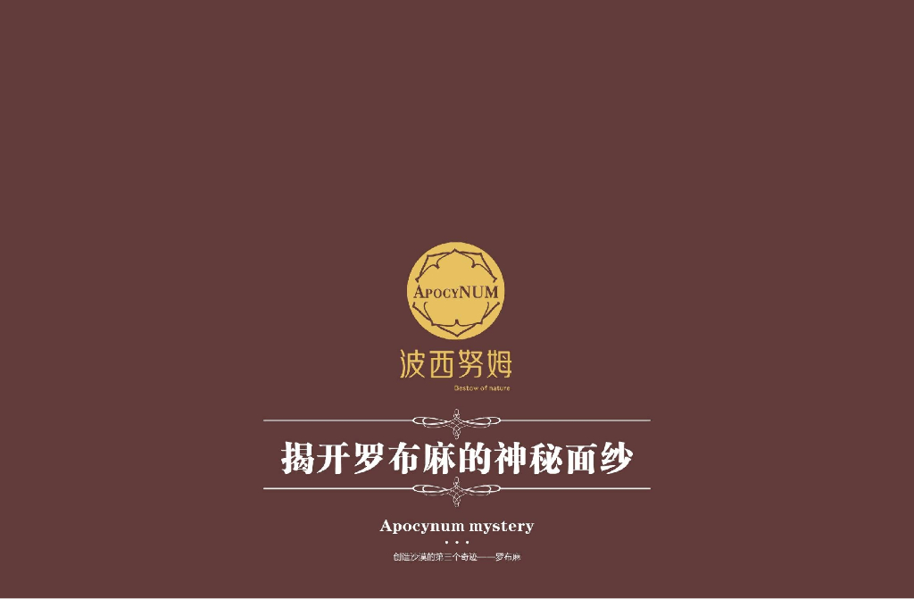 波西努姆：产品手册