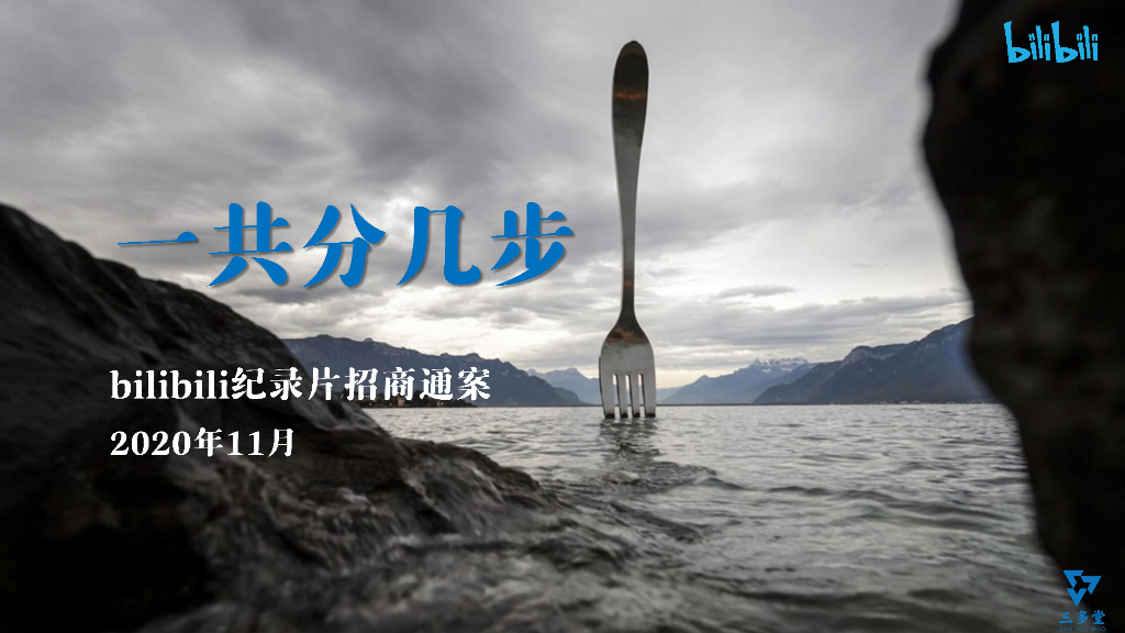 哔哩哔哩纪录片《一共分几步》项目招商方案