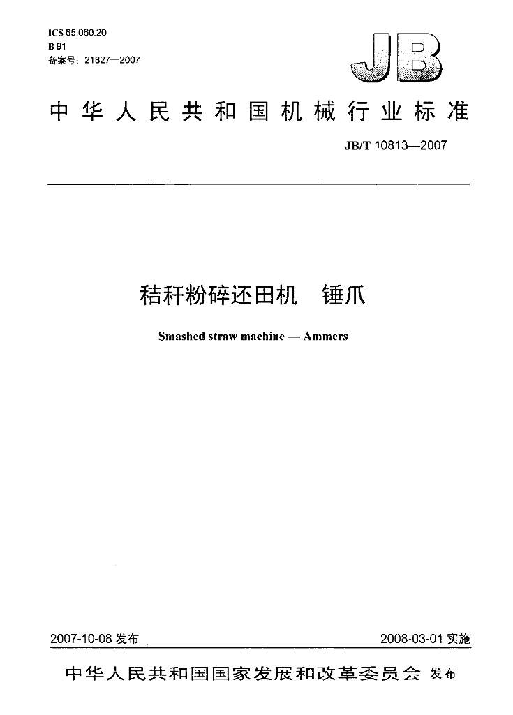 JB/T 10813-2007 标准预览