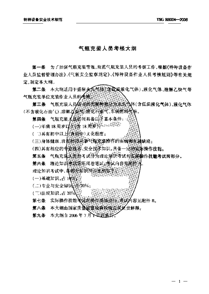 TSG R6004-2006 标准预览