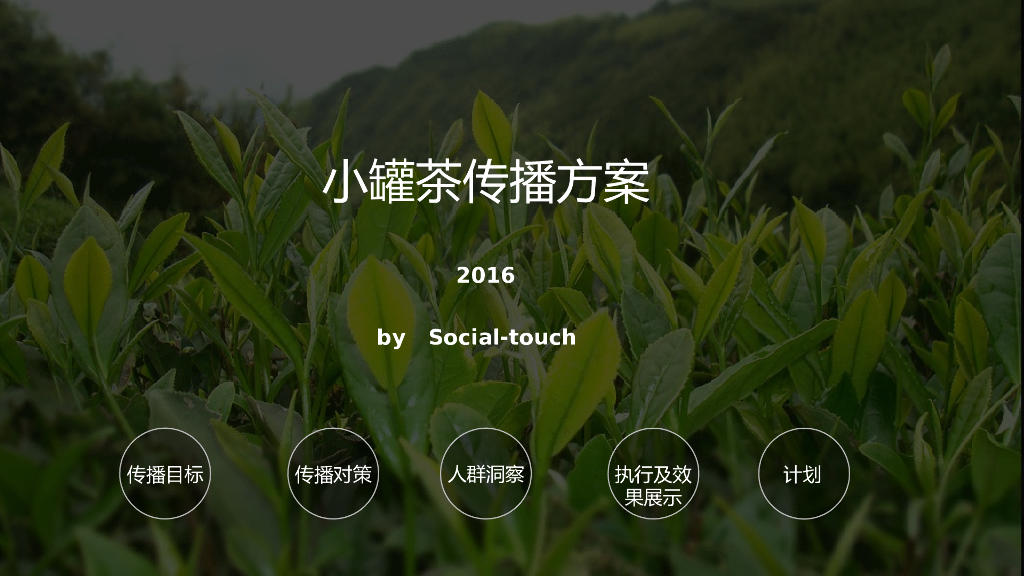 时趣：爆火的网红小罐茶微博投放幕后推广方案