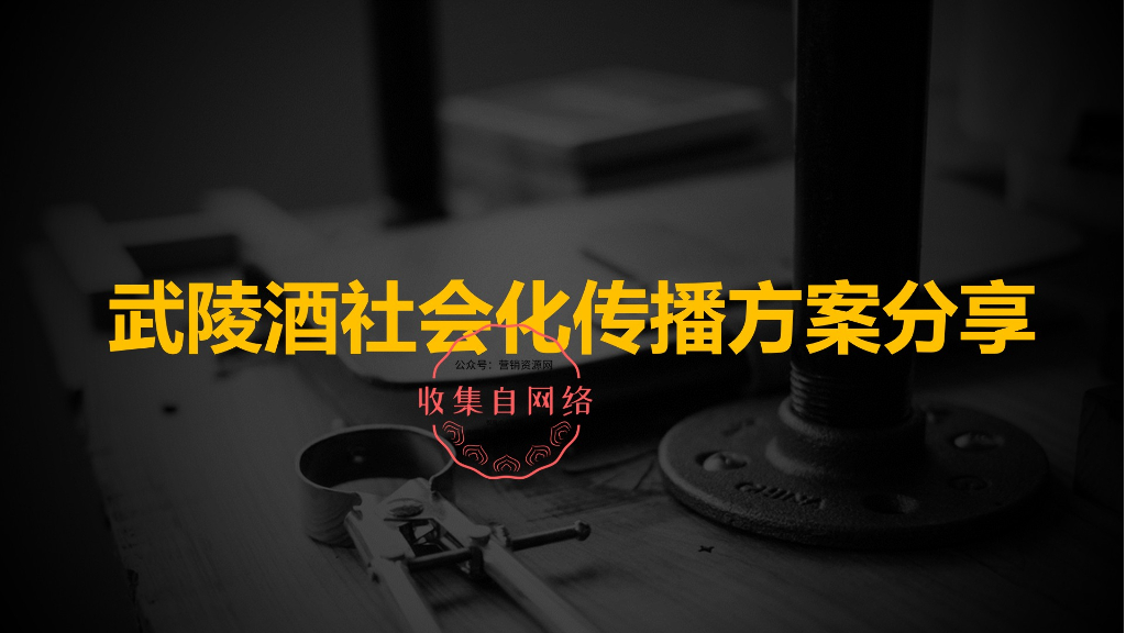 2019武陵酒社会化传播方案