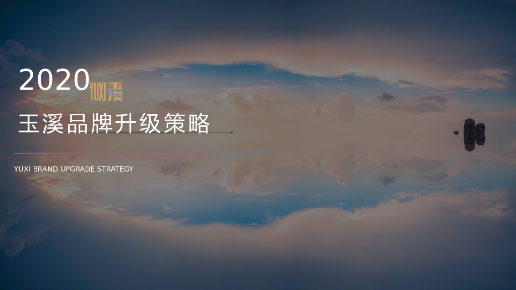 2020玉溪品牌升级策略方案