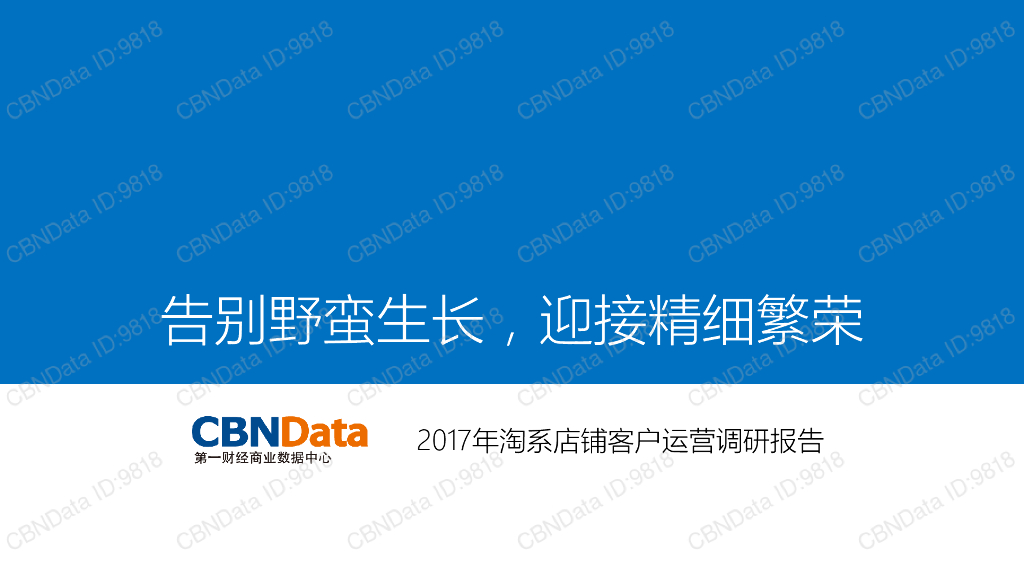 2017年淘系店铺客户运营调研报告