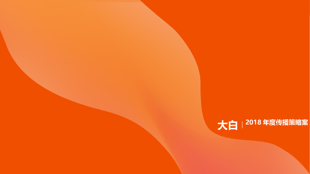 大白汽车2018年年度策略案