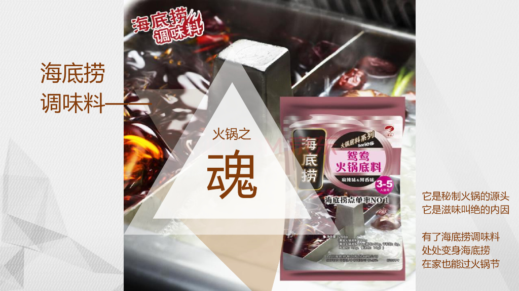 海底捞调味料新品上市传播方案_第6页