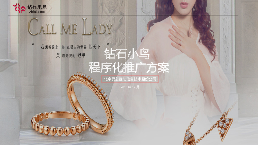 钻石小鸟：品牌推广执行案