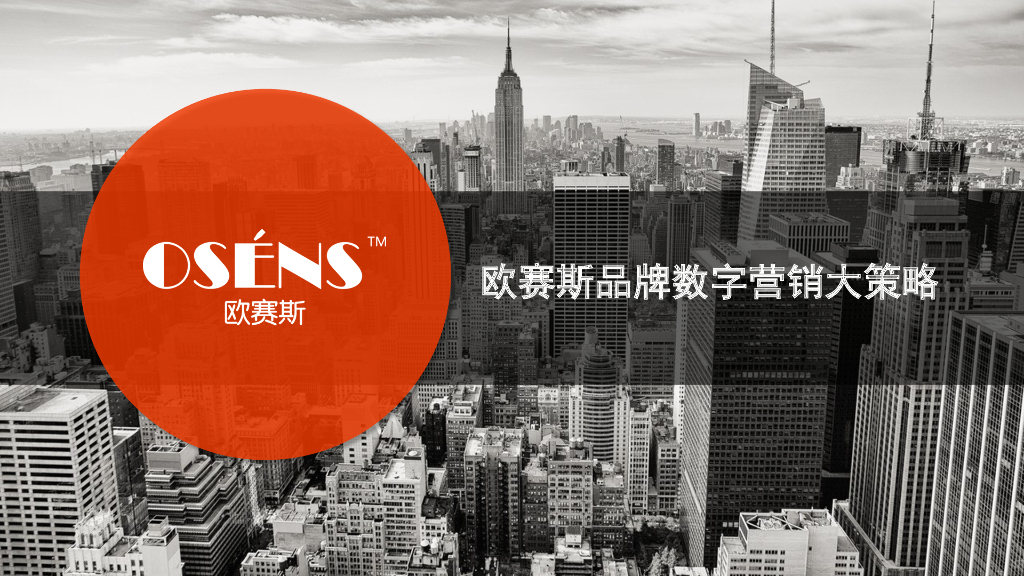 数字时代大品牌：欧赛斯数字营销大策略