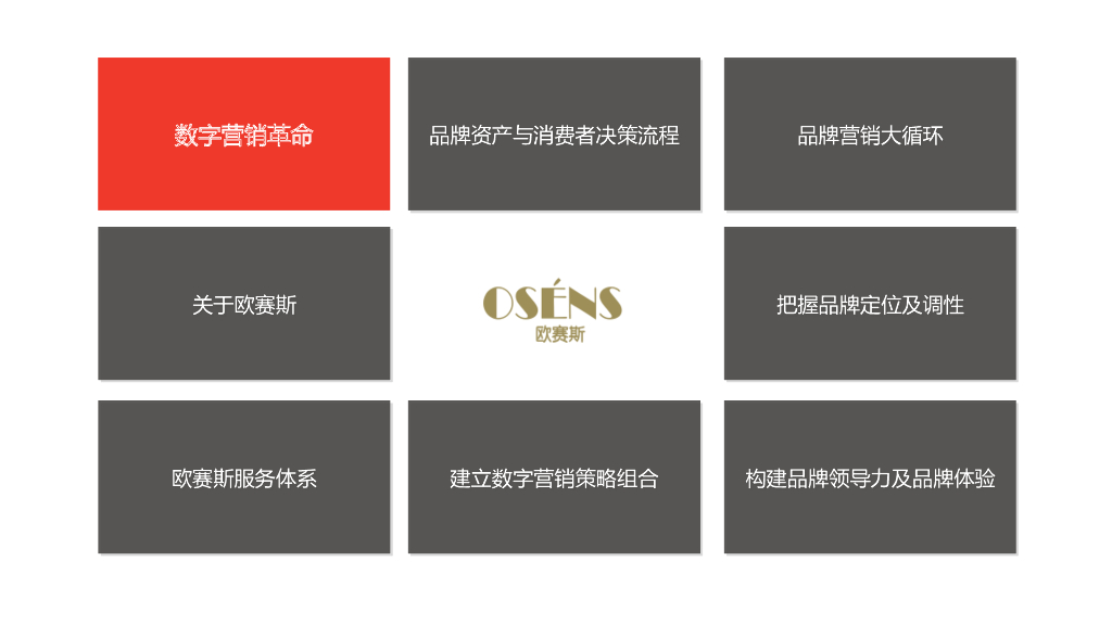 数字时代大品牌：欧赛斯数字营销大策略_第3页