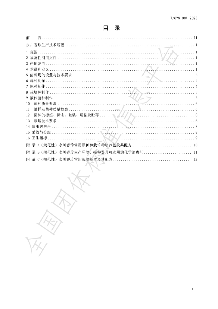 T/CYS 001-2023 标准预览