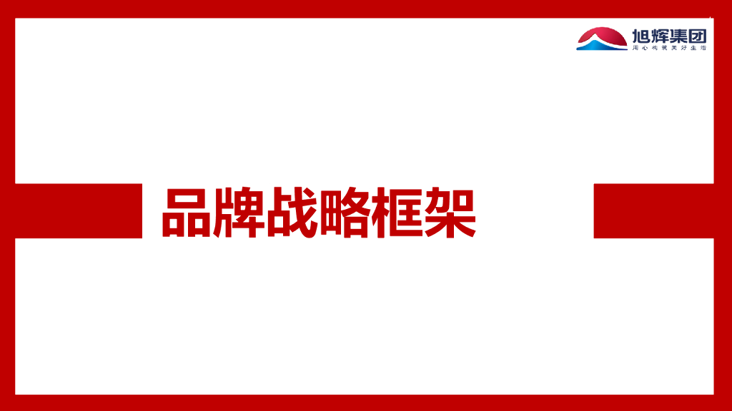 某上市公司2017品牌战略框架