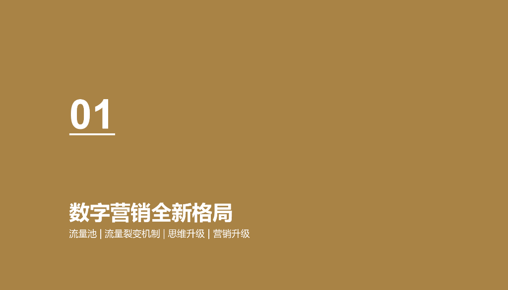 欧赛斯：丁神APP数字营销推广方案_第4页