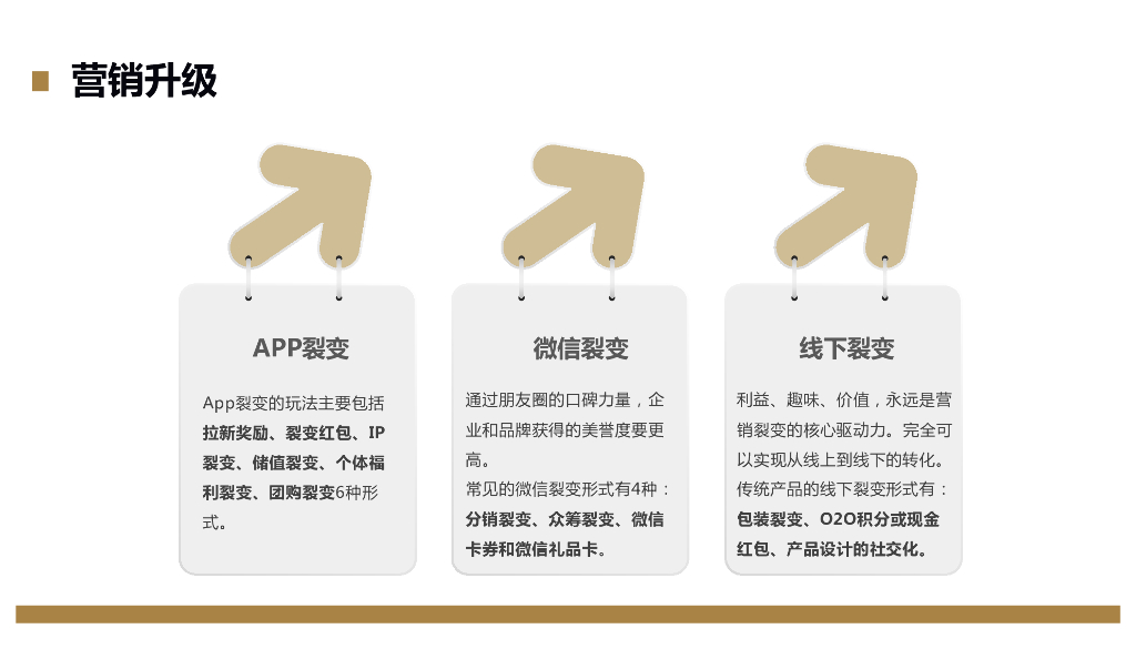 欧赛斯：丁神APP数字营销推广方案_第8页