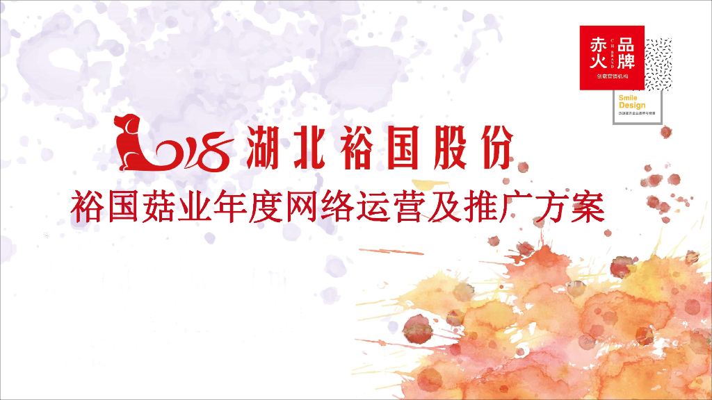 湖北裕国股份年度网络运营及推广方案