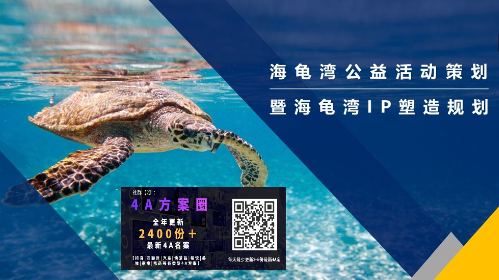 海龟湾公益活动策划暨IP塑造策划案（框架）