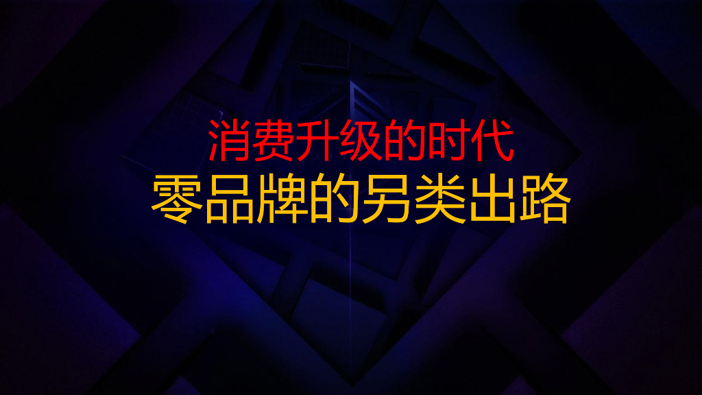 成金兰演讲：零品牌的另类出路