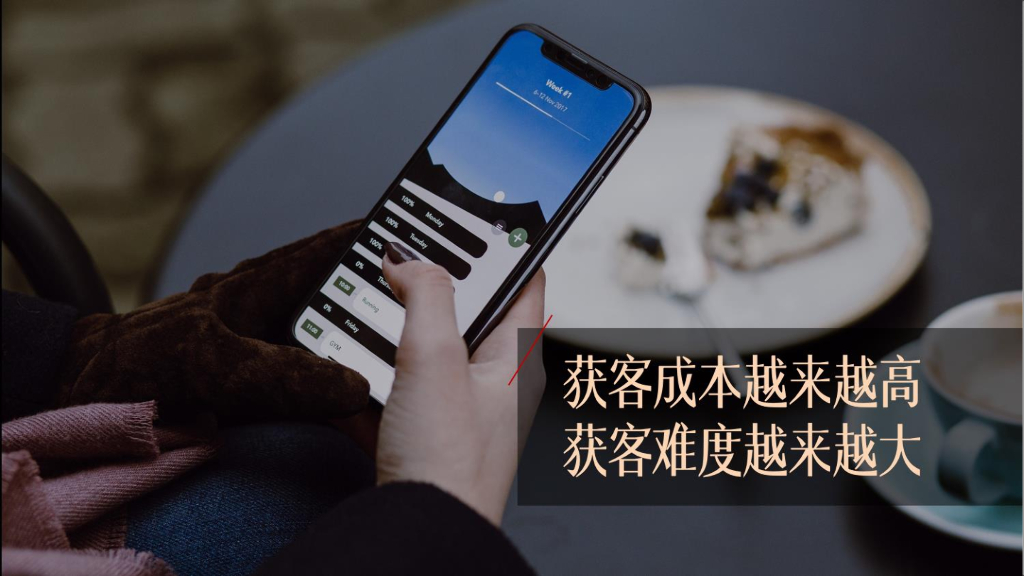 数字时代品牌营销的变与不变_第10页