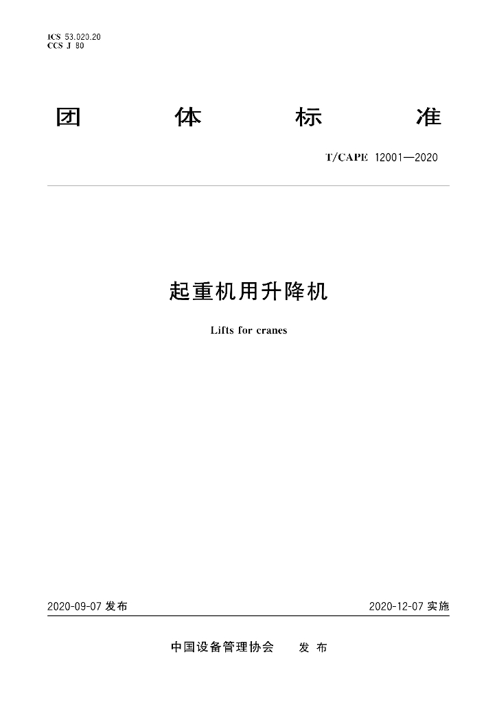 T/CAPE 12001-2020 标准预览