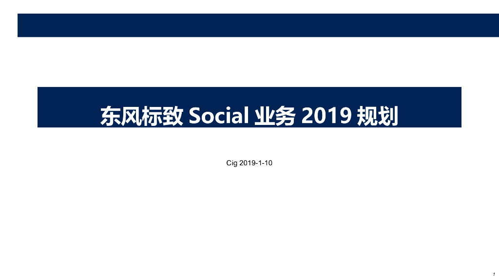 东风标致：Social业务2019规划（抖音）