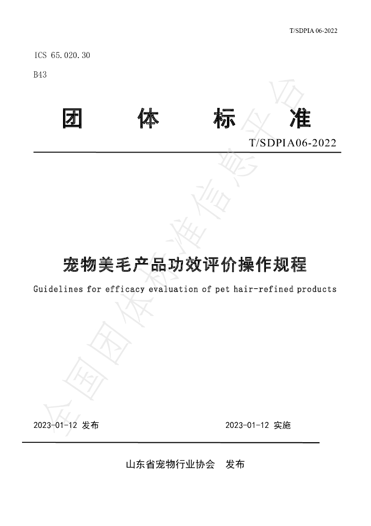 T/SDPIA 06-2022 标准预览