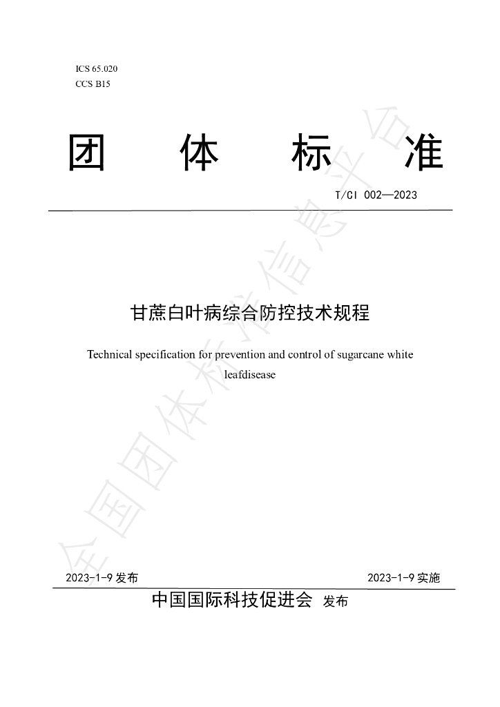 T/CI 002-2023 标准预览