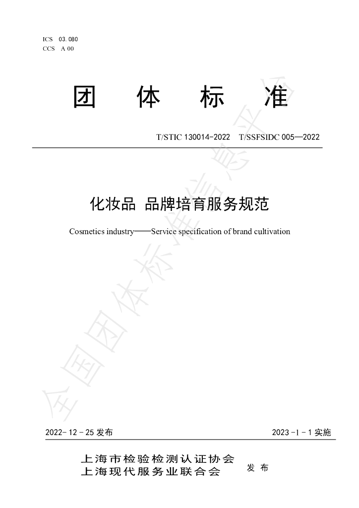 T/STIC 130014-2022 标准预览