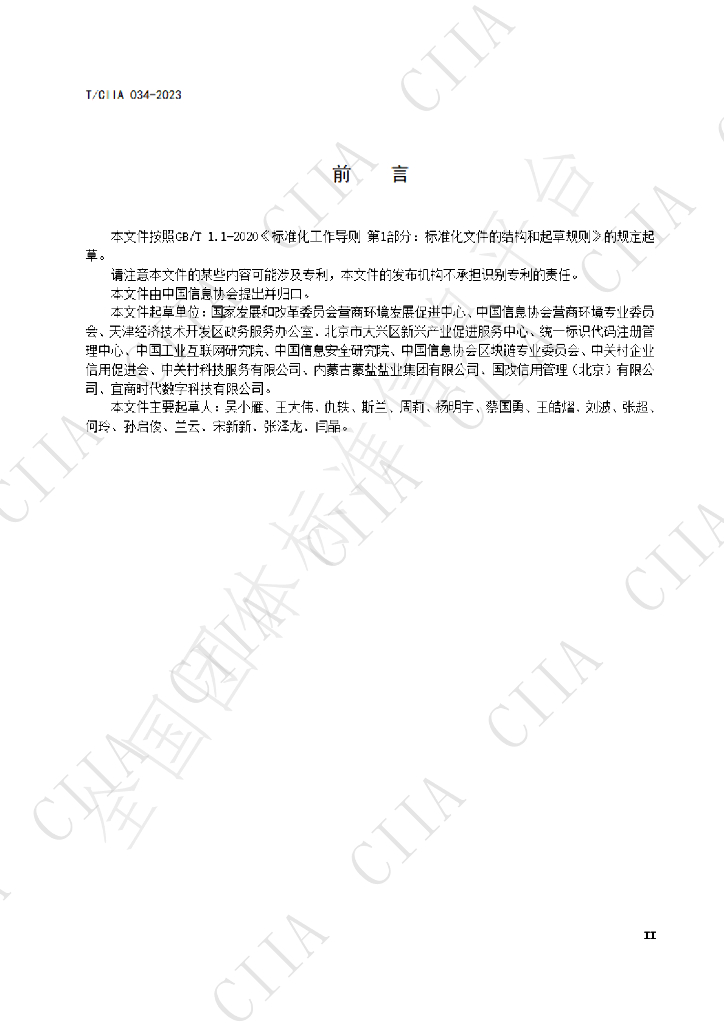 T/CIIA 035-2023 标准预览