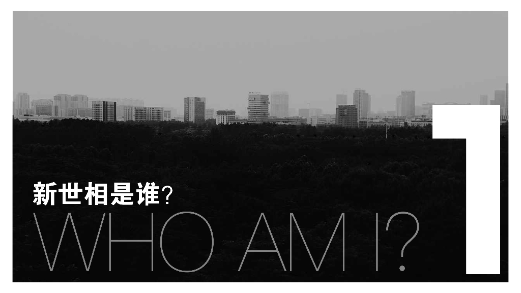 新世相内容生产与数字营销合作方式及价格_第2页