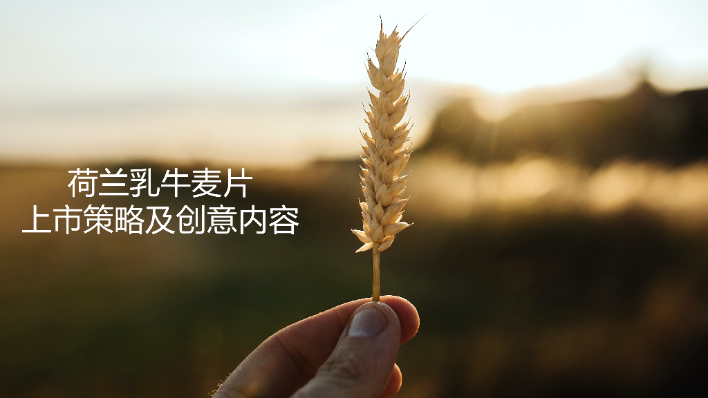 2019某麦片上市传播提案文件