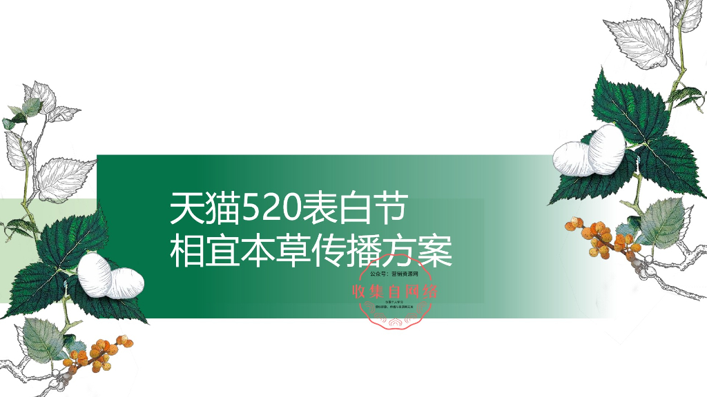 2018相宜本草520表白节方案