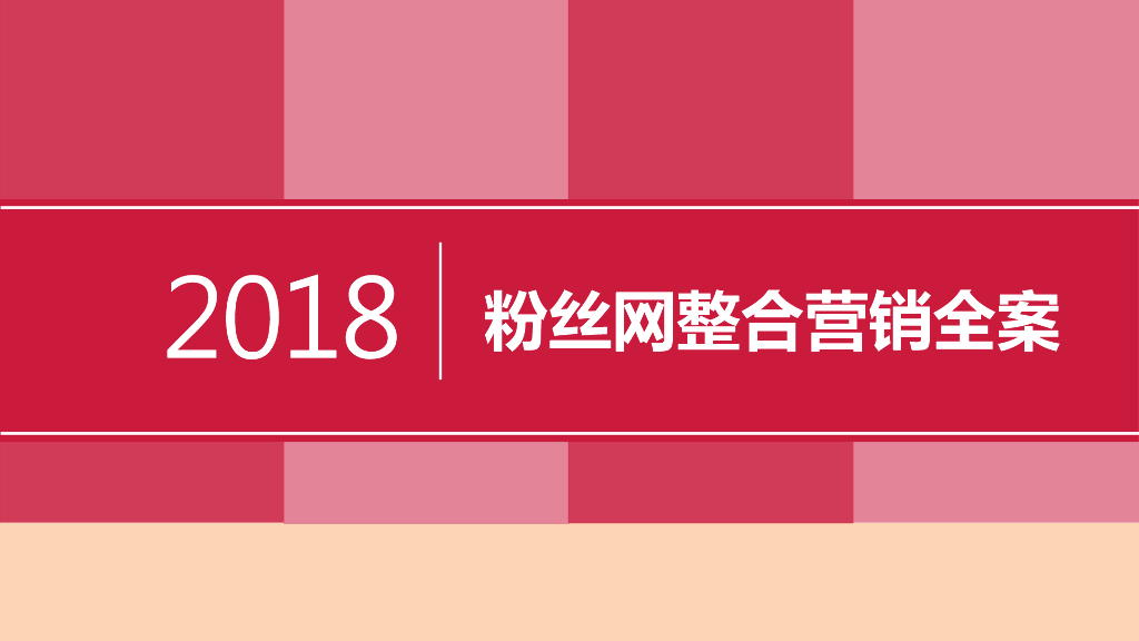 2018粉丝网整合营销全案