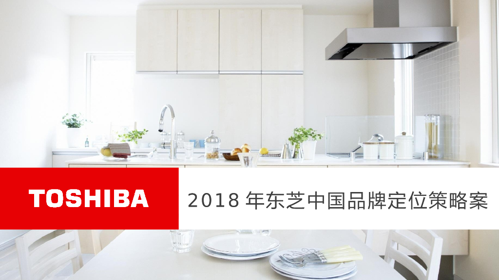 2018年东芝中国品牌定位策略创意案