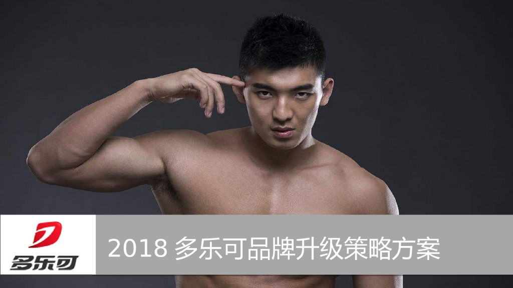 2018多乐可品牌升级策略方案