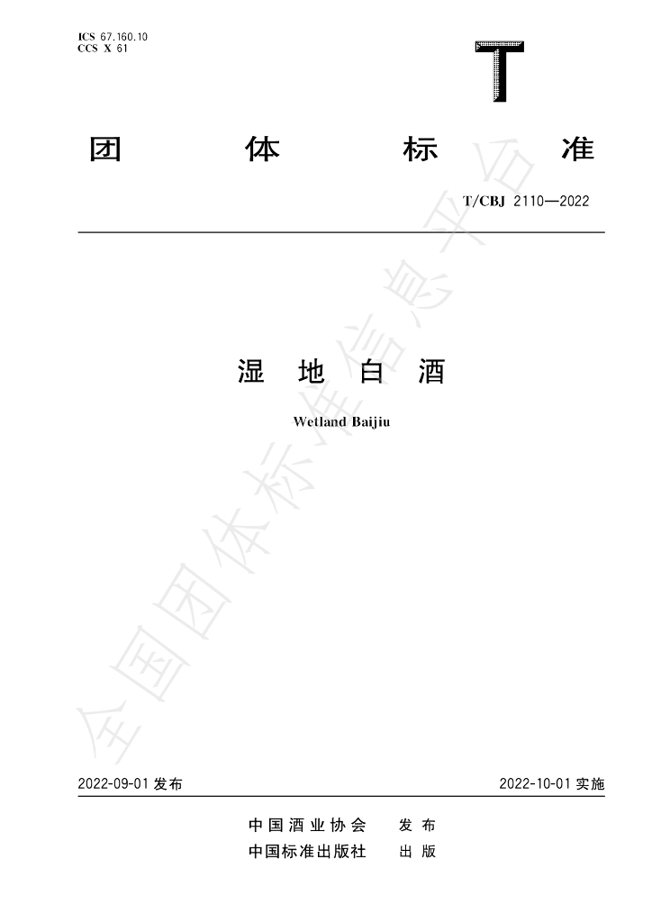 T/CBJ 2110-2022 标准预览