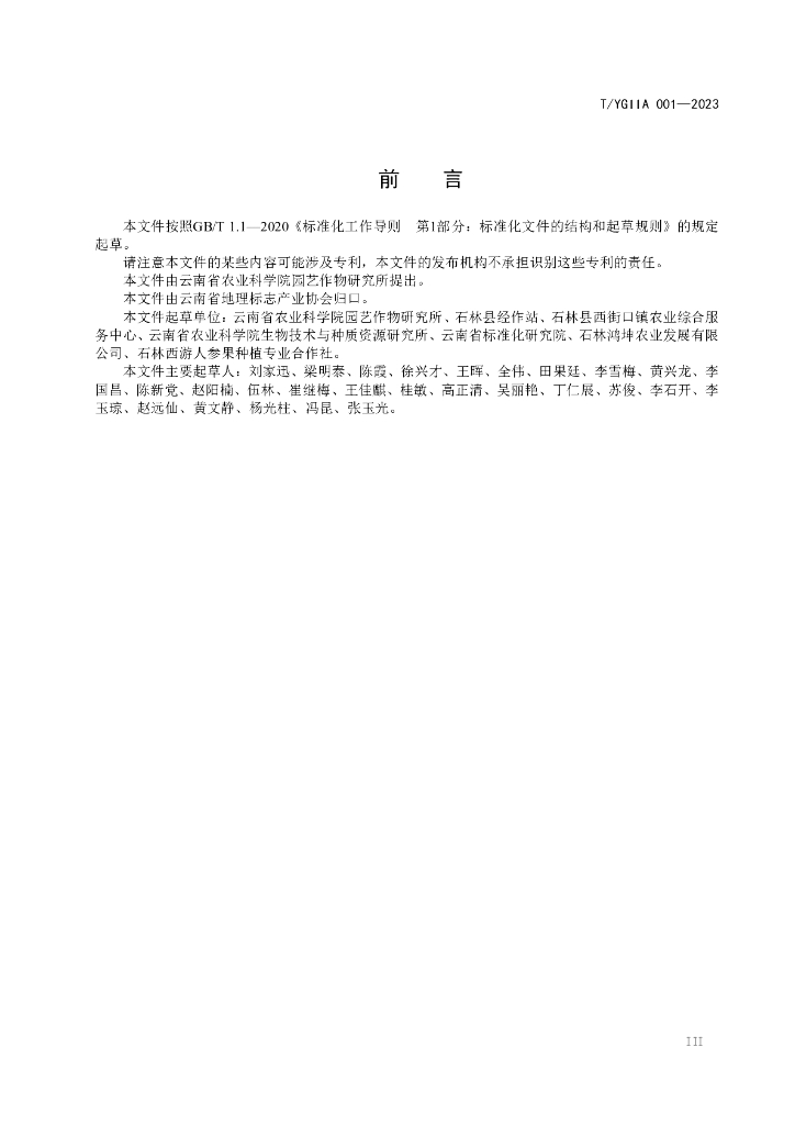 T/YGIIA 001-2023 标准预览