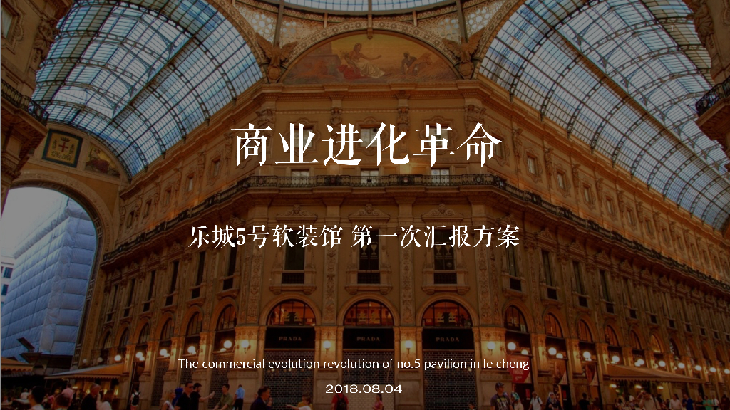 2018北京电扬-乐城家居城竞标策略案