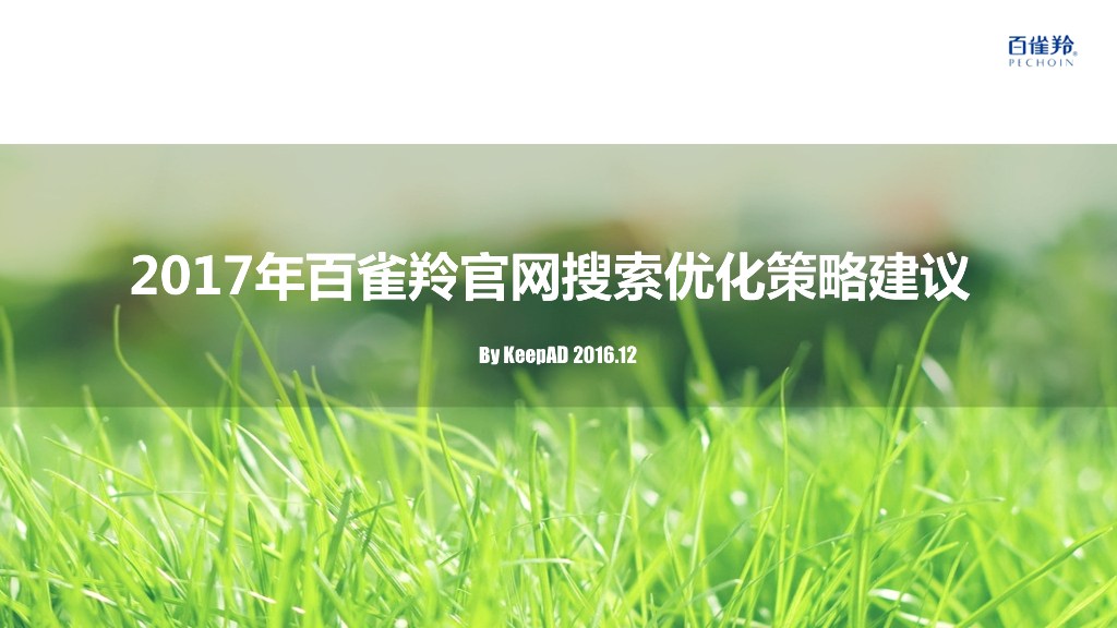 2017年百雀羚官网SEO优化策略建议