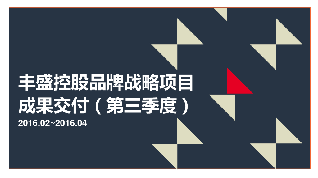 丰盛品牌咨询项目成果交付-31个单项方案