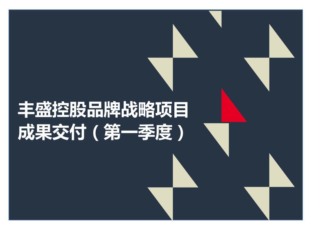 丰盛品牌战略项目成果交付-11个单项方案