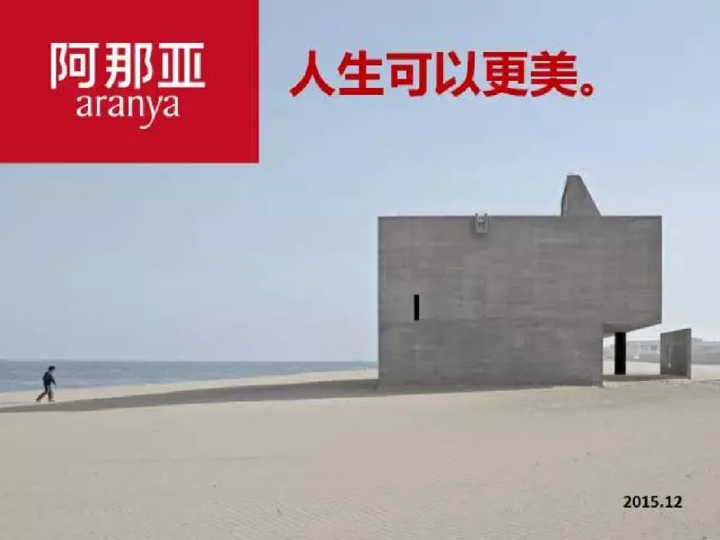 2015阿那亚社群营销