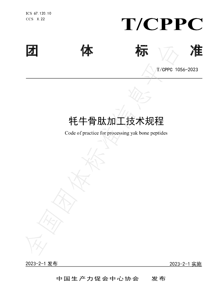 T/CPPC 1056-2023 标准预览