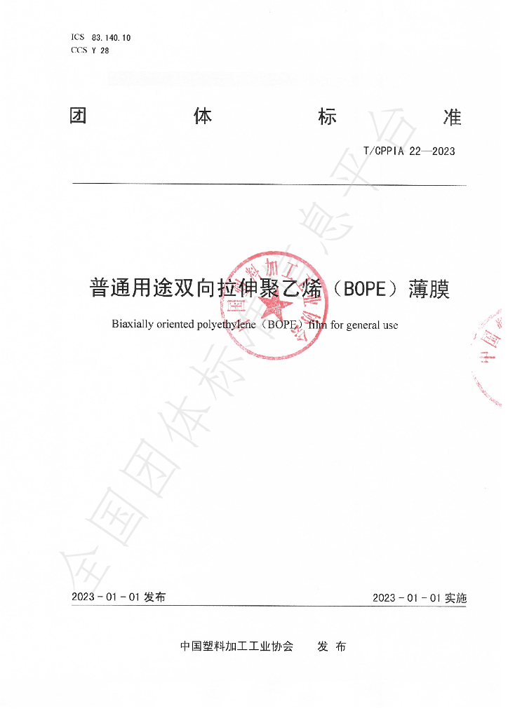 T/CPPIA 22-2023 标准预览