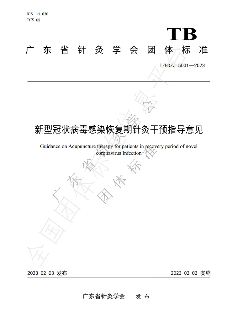 T/GDZJ 5001-2023 标准预览