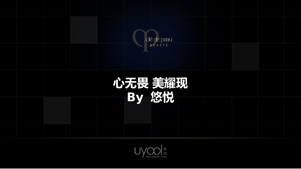 CPB美妆产品天猫店铺双十一方案