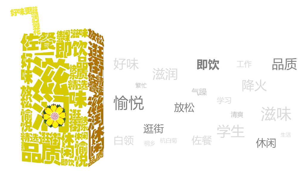 维他菊花茶数字营销方案_第3页