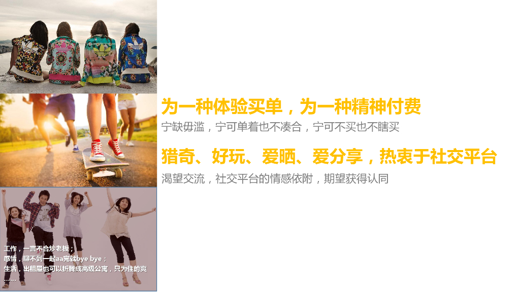 维他菊花茶数字营销方案_第5页