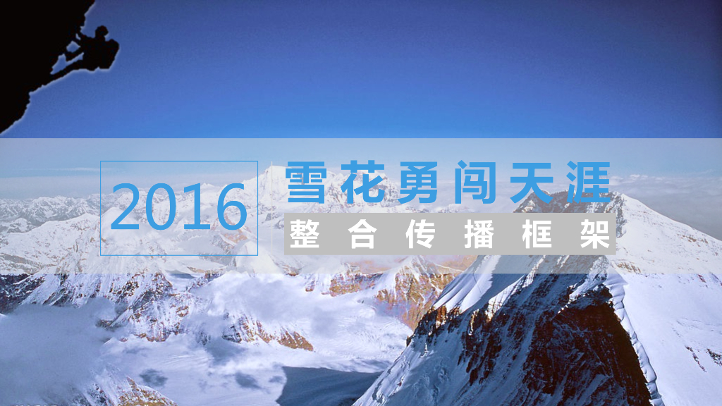 2016-雪花勇闯天涯互联网传播方案