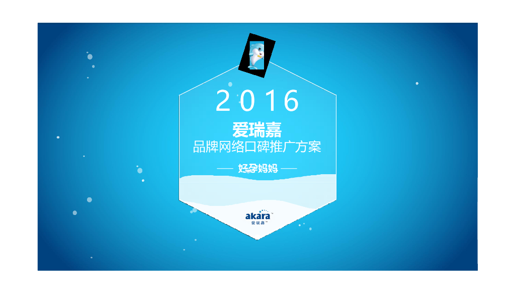 2016 爱瑞嘉口碑推广方案
