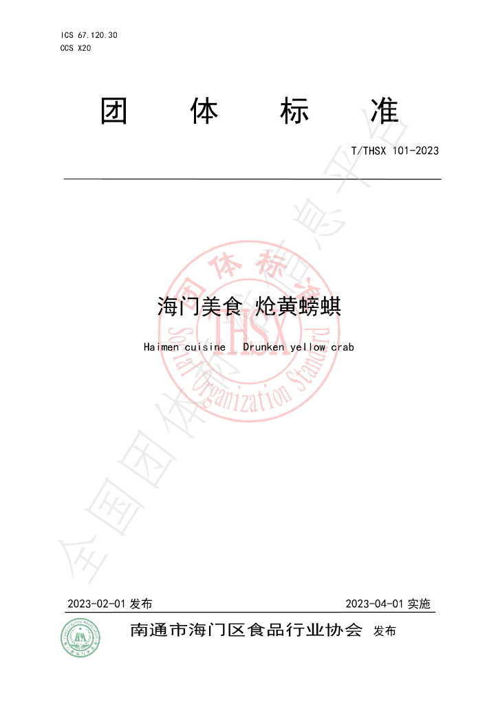 T/THSX 101-2023 标准预览